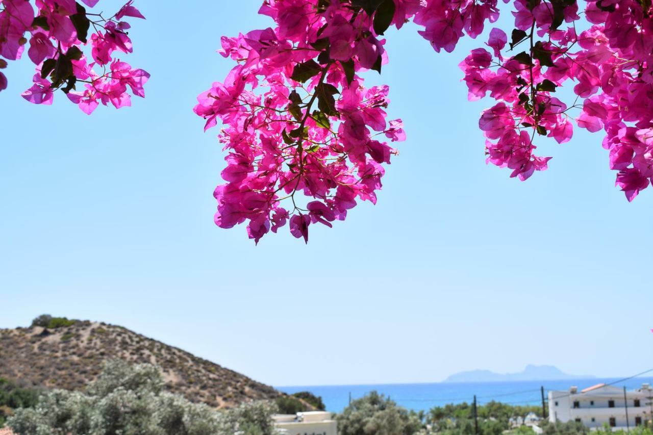 Hotel Porto Galini Agia Galini Exteriér fotografie